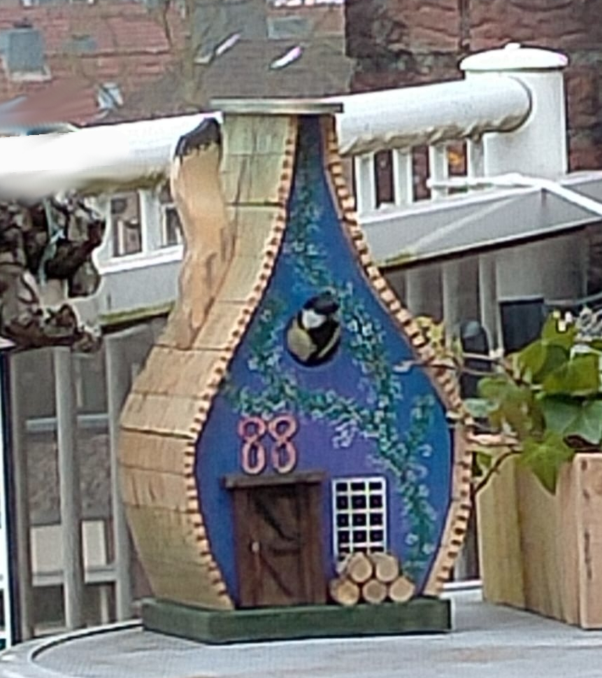 vogeltje 2